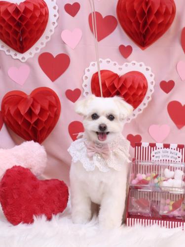 20240224うみちゃん